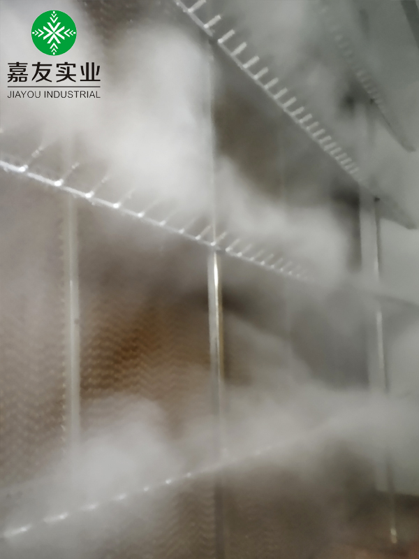 光伏車(chē)間空調(diào)機(jī)組高壓微霧加濕器 (6)